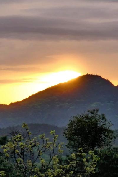 Whatsapp Bild 2025 05 03 Um 07.14.53 6ed12b0e