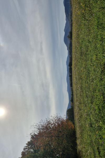 20251019 113012 Kopie