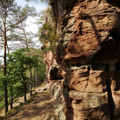 (Barfuß-) Wanderung Napoleon-Steig