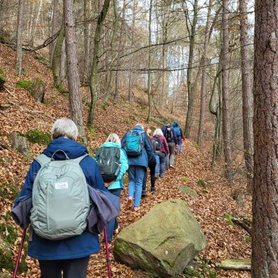 Whatsapp Bild 2025 11 16 Um 19.36.37 07c3ab61