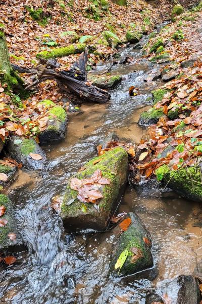 Whatsapp Bild 2025 11 16 Um 19.36.37 Fd08d8c2