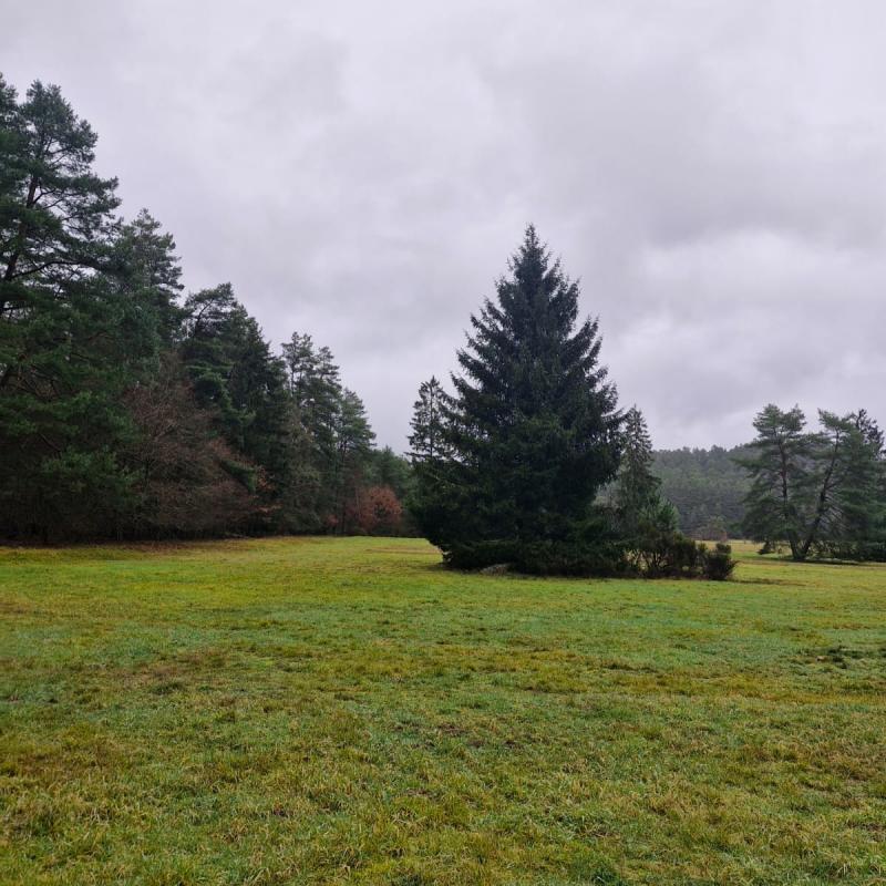 Whatsapp Image 2026 01 19 At 21.28.35 1