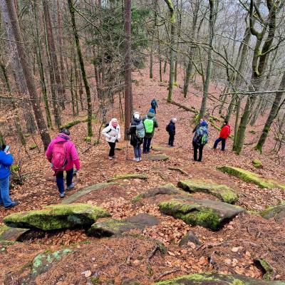 Whatsapp Image 2026 01 19 At 21.28.42 2