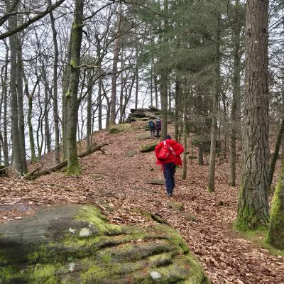 Whatsapp Image 2026 01 19 At 21.28.43