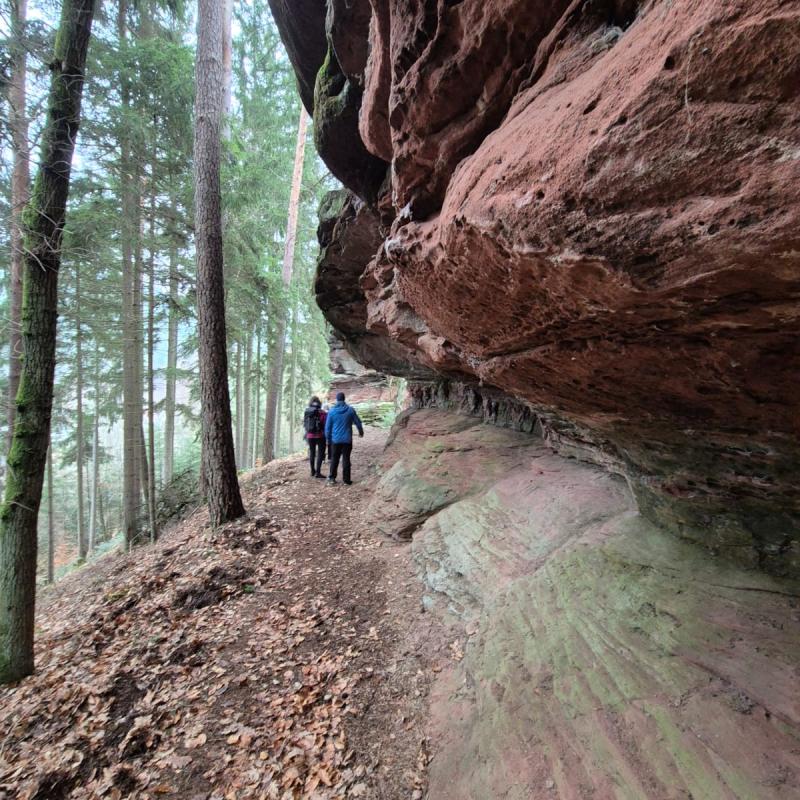 Whatsapp Image 2026 01 19 At 21.28.45 4