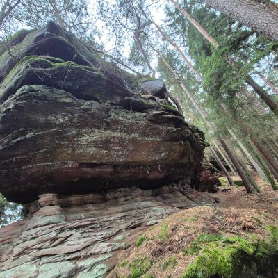 Whatsapp Image 2026 01 19 At 21.28.45 5