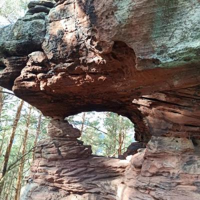 D657b29e 62b9 43c5 934e 8fd5a79cb4fc