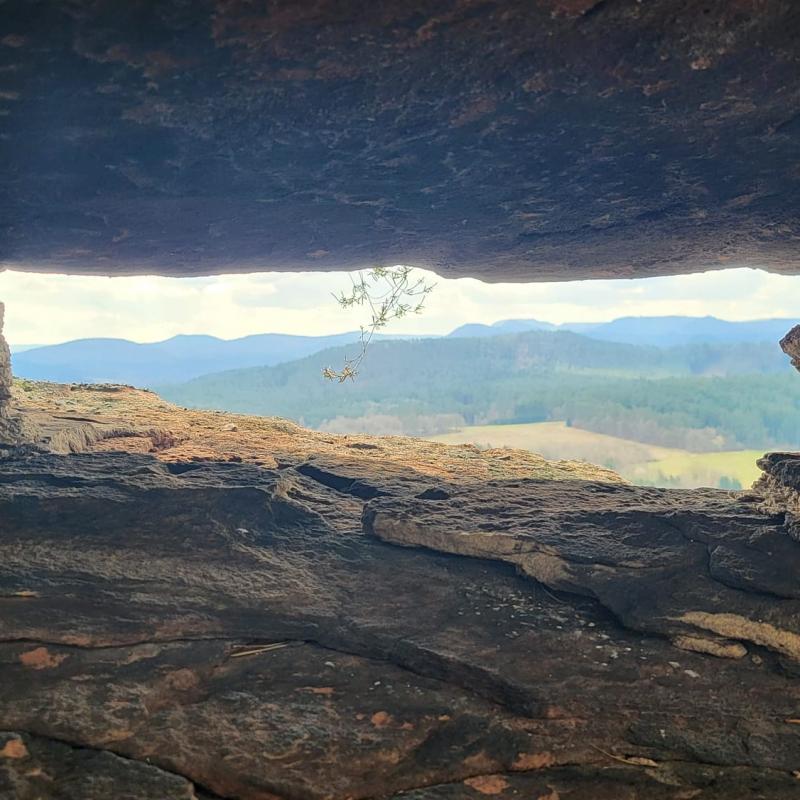 Whatsapp Image 2026 03 15 At 18.59.17 2