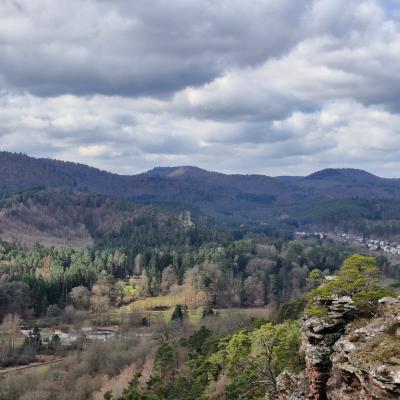 Whatsapp Image 2026 03 15 At 19.01.15