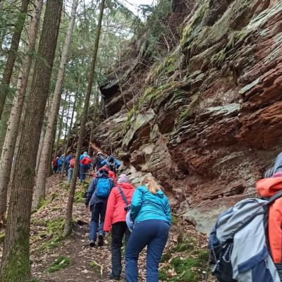 Whatsapp Image 2026 03 15 At 19.41.49 1