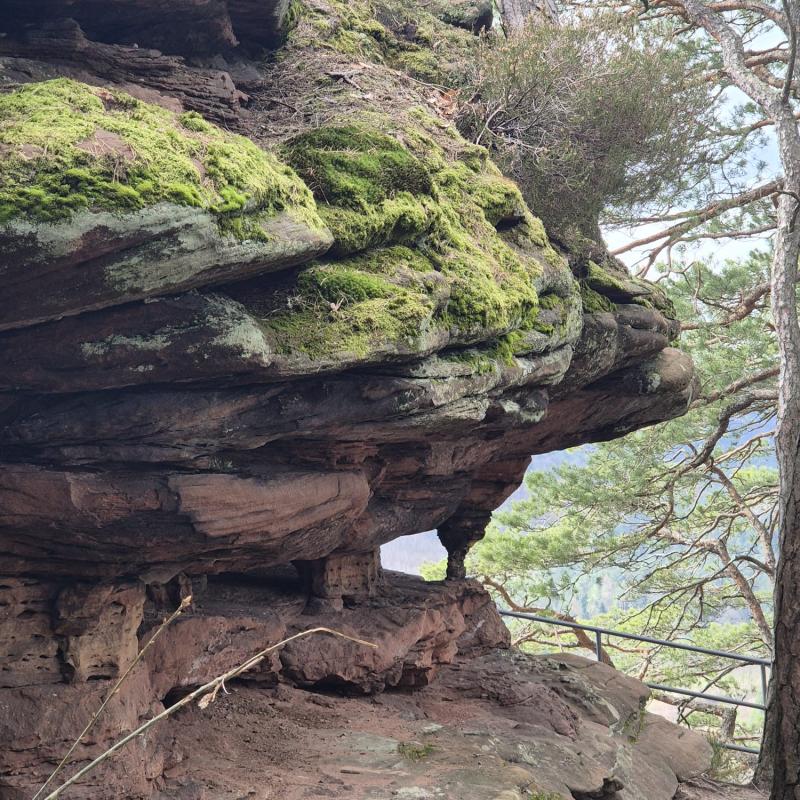 Whatsapp Image 2026 03 15 At 19.55.28 1