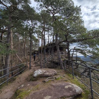 Whatsapp Image 2026 03 15 At 19.55.28 2