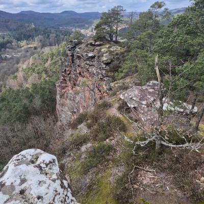 Whatsapp Image 2026 03 15 At 19.55.28 4