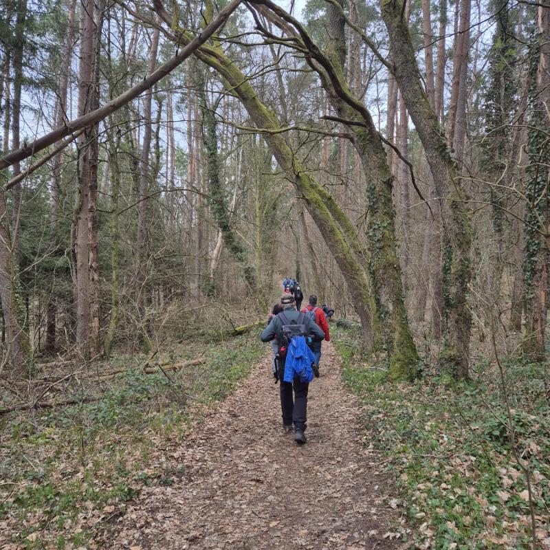 Whatsapp Image 2026 03 15 At 19.55.29 4