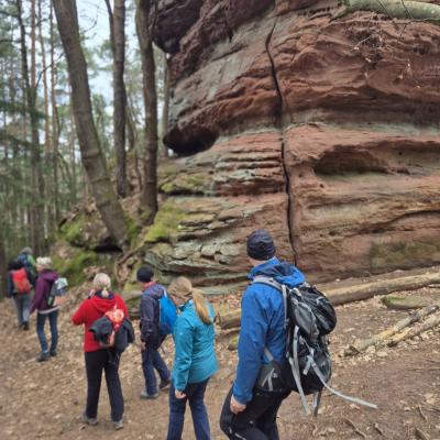 Whatsapp Image 2026 03 15 At 19.55.29