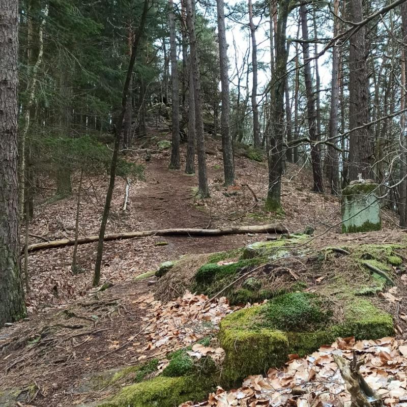 Whatsapp Image 2026 02 15 At 19.29.28 1