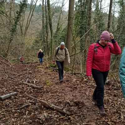 Whatsapp Image 2026 02 15 At 19.29.28 3