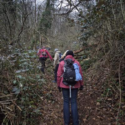 Whatsapp Image 2026 02 16 At 06.57.30