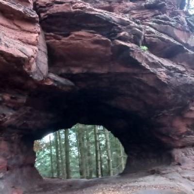 Barfuß-/Wanderung Siebeldinger Hütte