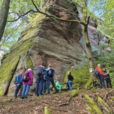 Whatsapp Image 2026 04 26 At 13.48.35 12