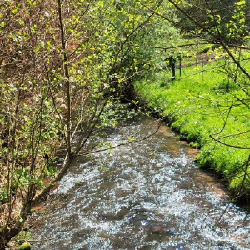 Whatsapp Image 2026 04 26 At 13.48.35 1