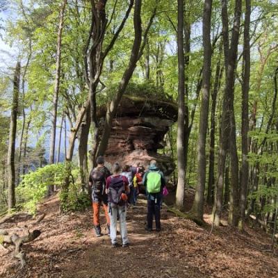 Whatsapp Image 2026 04 26 At 13.48.35 21