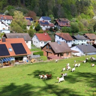 Whatsapp Image 2026 04 26 At 13.48.35 2