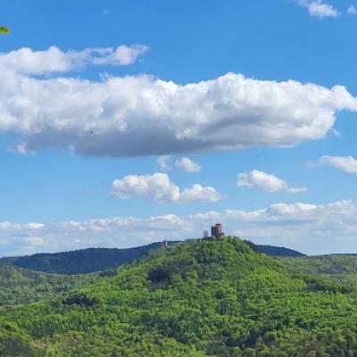 Whatsapp Image 2026 04 26 At 13.48.35 4