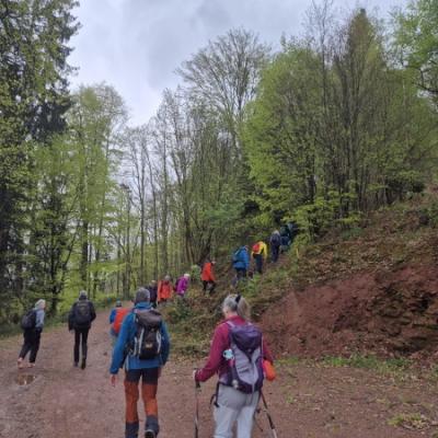 Whatsapp Image 2026 04 26 At 13.48.35 8