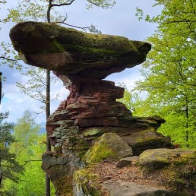 Whatsapp Image 2026 04 26 At 13.48.35