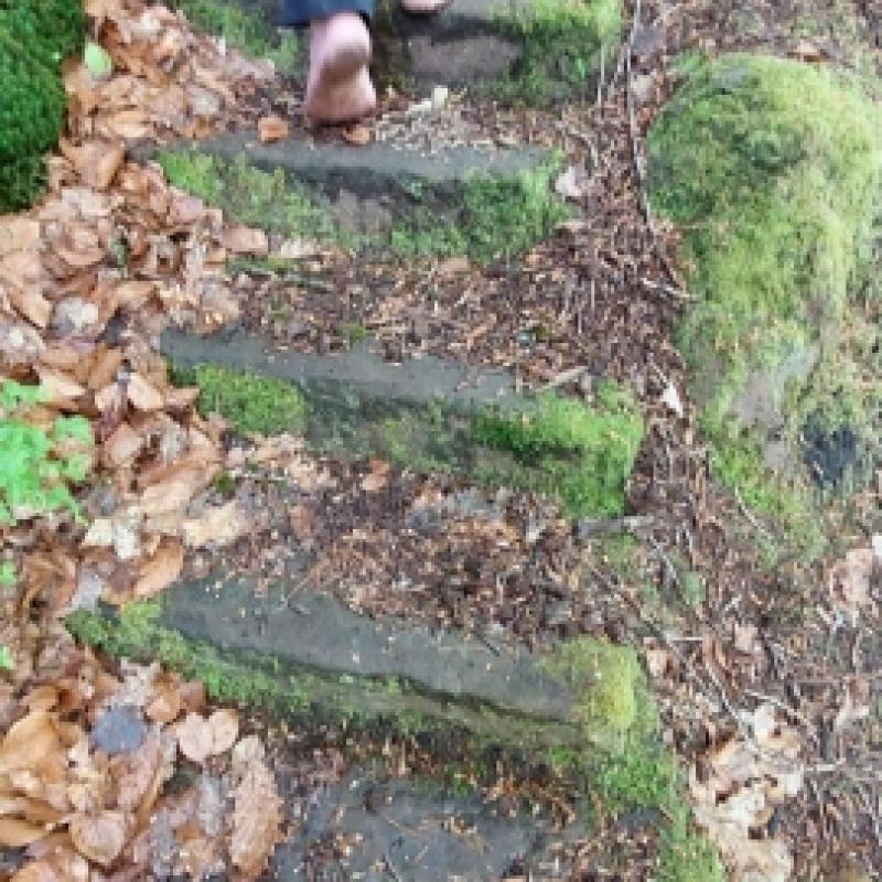 Whatsapp Image 2026 04 26 At 13.48.36 38