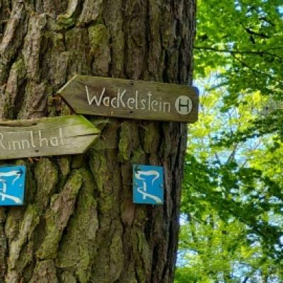 Whatsapp Image 2026 04 26 At 13.48.36 62