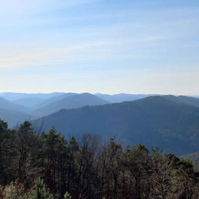 Barfuß-Wanderung Jung-Pfalz-Hütte